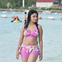 Payal Ghosh hot n spicy bikini gallery | Picture 71859